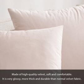 MIULEE Velvet Soft Soild Decorative Square Throw Pillow Covers Cushion Case for Sofa Bedroom Car 12 x 20 Inch 30 x 50 cm