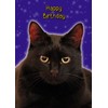 Pet Cat Birthday Card