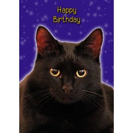 Pet Cat Birthday Card