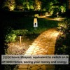 G4 LED Bulbs JC Bi-Pin Base Light Bulbs 3W AC/DC