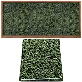 Mindsoft Bulletin Board Paper 48'' x 107'' Class Boards for Classroom Bulletin Boards Everyone is Welcome Classroom Board Decor Pillows Curtains Crafts(Greenery,1 Pc)