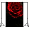 Generic Black Red Rose Texture Backdrop Red Flowers Abstract Portrait