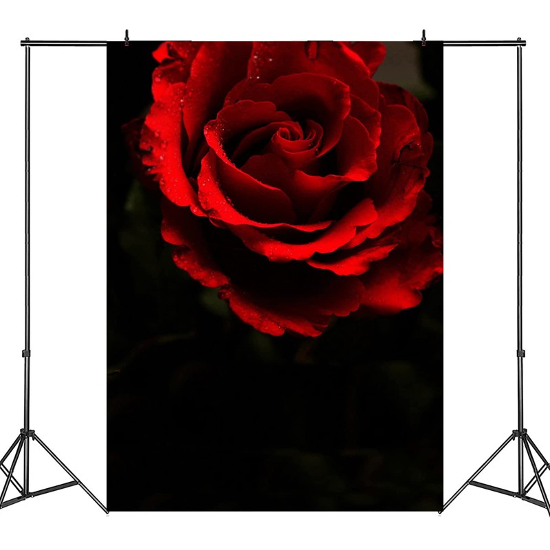 Generic Black Red Rose Texture Backdrop Red Flowers Abstract Portrait