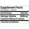 Moringa Oleifera Extract 5000mg // 180 Capsules // Pure //