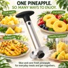 1PCS Stainless Steel Pineapple Slicer Peeler - Kitchen Fruit Tools