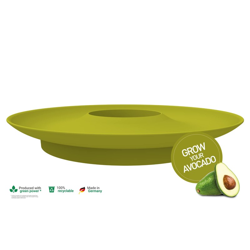 Romberg Avocado Kit | for Growing Avocado Plants | Free