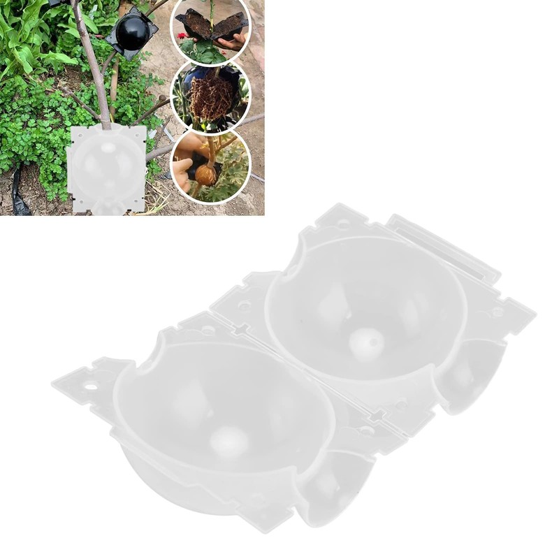 10 PCS Plant Root Growing Boxes Grafting Device PP Portable