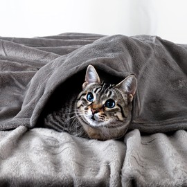 EHC Fleece Blanket Sofa Throw, Cozy Blanket Soft Fluffy Throws for sofa Large Bed and Couch Double, Grey, 150x200cm