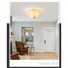 ANYLOVE Modern 12Inch Frosted Glass Flower Glass Semi Flush Mount