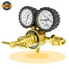 Zistel Nitrogen Regulator with Hose, 0-800 PSI Output Pressure, CGA580