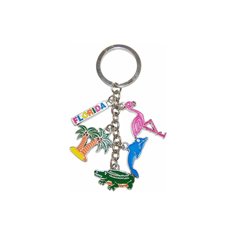CityDreamShop Florida Five Charm Keychain Featuring Florida Sun, Alligator, Flamingo