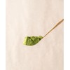 Matcha Grado Ceremonial (100 gr)