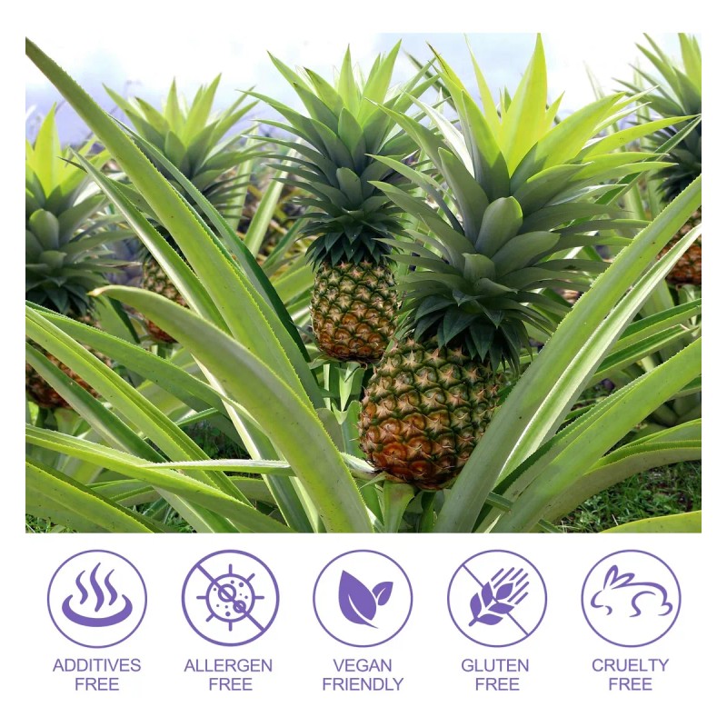 Gomitas Probióticas Vaginales Mxczbsm Con Sabor A Piña, 120