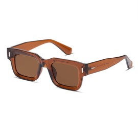 Hanj Black Square Trendy Sunglasses Womens Mens Vintage Retro Rectangle Sun Glasses Fashion Classic Shades (Brown Clear)