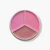 Magic Touch Blush Trio:_Pink