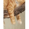 Touch of Class Catnap Cat Resting on Branch Wall Accent