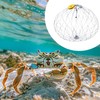 20Strands Steel Wire Crab Net, Automatic Opening & Closing Crab