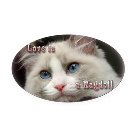 CafePress Ragdoll Cats Oval Car Magnet, Euro Oval Bumper Magnet