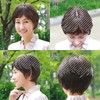 Priscilla ST-005 1N Black Gray Hair Wig, Divided Type