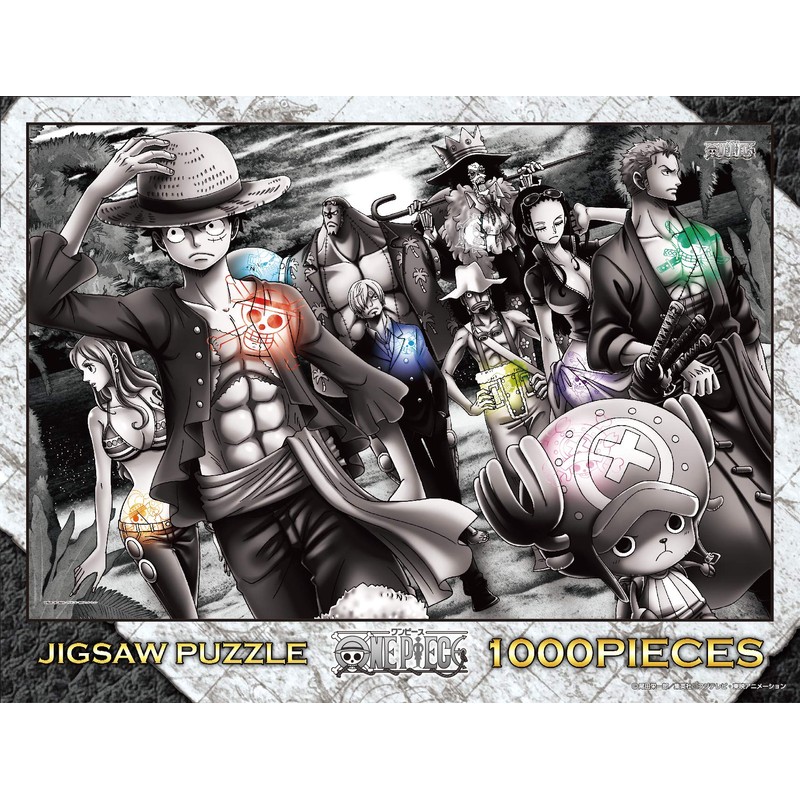 Ensky 1000 Pieces Jigsaw Puzzle, One Piece, Landing [19.7 x