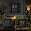 Real Handmade Taxidermy Butterfly Framed Gothic Baroque Art Home Decor