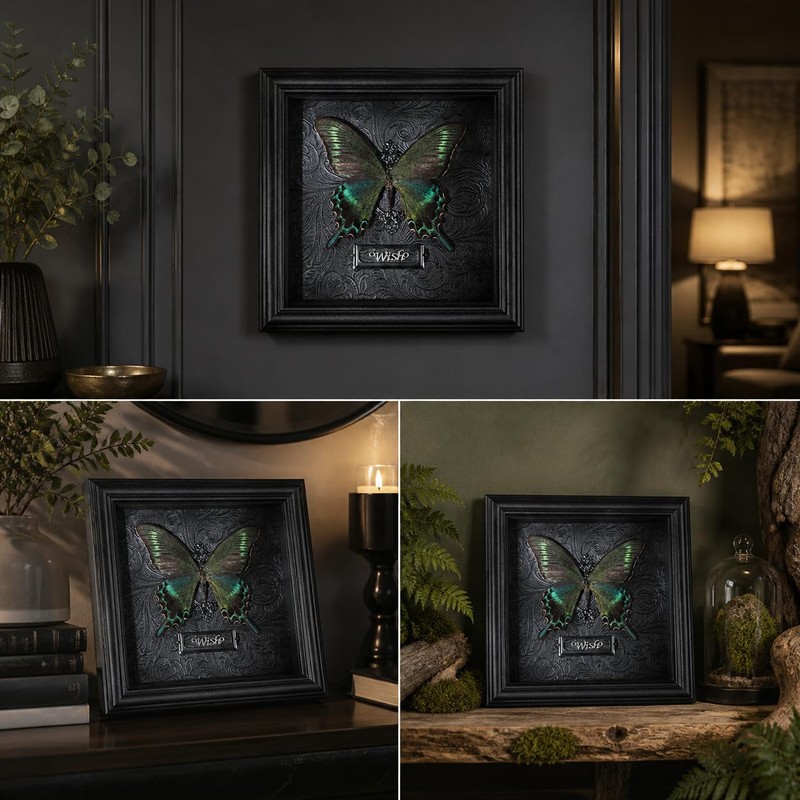 Real Handmade Taxidermy Butterfly Framed Gothic Baroque Art Home Decor