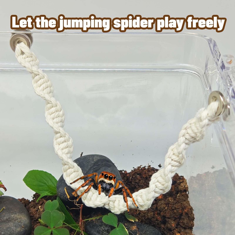 Jumping Spider Rope Bridge Swings with Magnets, Magnetic Jumping Spider