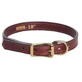 Mendota Pet Leather Standard Collar - Dog Collar - Made in The USA - Chestnut, 1 in x 22 in