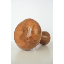 Aloha Outlet - Ipu: professional concert performance level Hawaiian gourd - Large size - handmade natural materials - 26.5 to 30.75inches