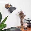 Orny Ceiling Light in Various Designs