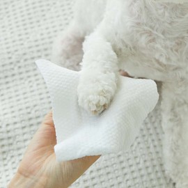 PETHROOM [Pesroom] Mild Clean Tissue for Dogs and Cats, Wet Wipes, Body Wipes, Pet-Specific Wet Wipes, 20 Sheets, 1 Pack