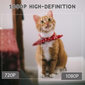 Security Camera Clock, HD 1080P Wall Clock Cameras No WiFi Indoor Camera with Motion Detection for Home Office, No Audio No APP Cam