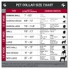 Buckle-Down Sleeping Beauty & Prince Scenes Plastic Clip Collar, Small/9-15