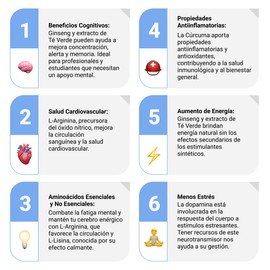 Sapientia + Dopamina Nootrópico 100% natural - L-Fenilalalina- L-Arginina HCL L-Lisina Raíz de Curcuma Extracto de Té Verde Ginseng