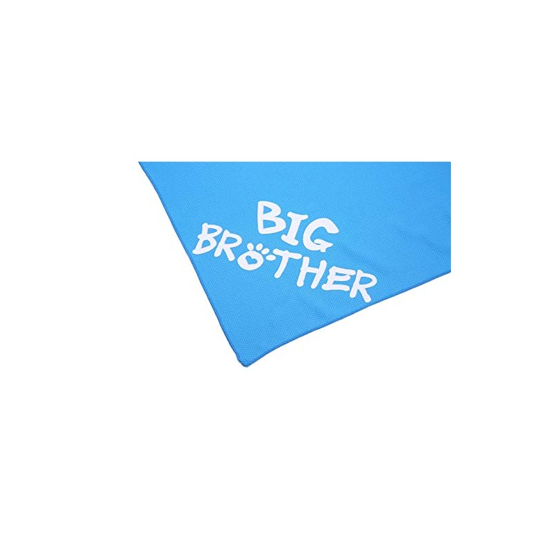 Big Brother Big Sister Dog Bandana 2 Pack