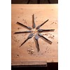 Eclipse Professional Tools FWDB8PS 8 piece Flat Wood Drill Bit