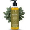 AVD Organics Eucalyptus Mint Massage Oil 236ml – Refreshing &