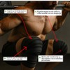 Kit Vendas Para Rodilla Knee Wraps + Coderas +muñequeras Gym