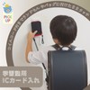 Raymei Fujii GLP1193V Pass Case, Coil Cord & Coin Purse,