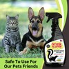 Mold Monster Stink Slayer Odor Remover (22 oz) - Eliminate