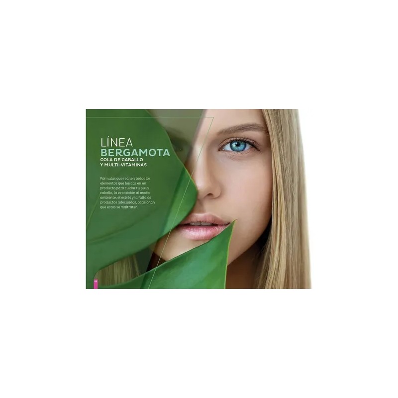 Shampoo Bergamota, Cola De Caballo Florigan® 1 Lt