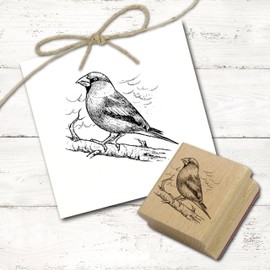 Dekolando Motif Stamp Kernbeißer auf Branch – Stamp Wooden Stamp – Imprint 48 x 38 mm