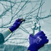 NITREX 270NF 10 Pairs of Gardening Gloves, Sandy Nitrile Palm