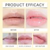 Moisturising Lipstick Lip Balm, Honey Lip Balm, Honey Lip Oil,