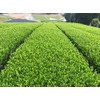 [2024 New Tea] Ureshino Tea Special Selection Set of 2