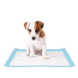 Fancy Pets Tapete Entrenador Soft Pad 14 Piezas para Perros, Ultra Absorbente con Atrayente y Protección Antiderrapante