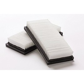 Nilfisk Original 302002842 Flat Filter Pack of 2