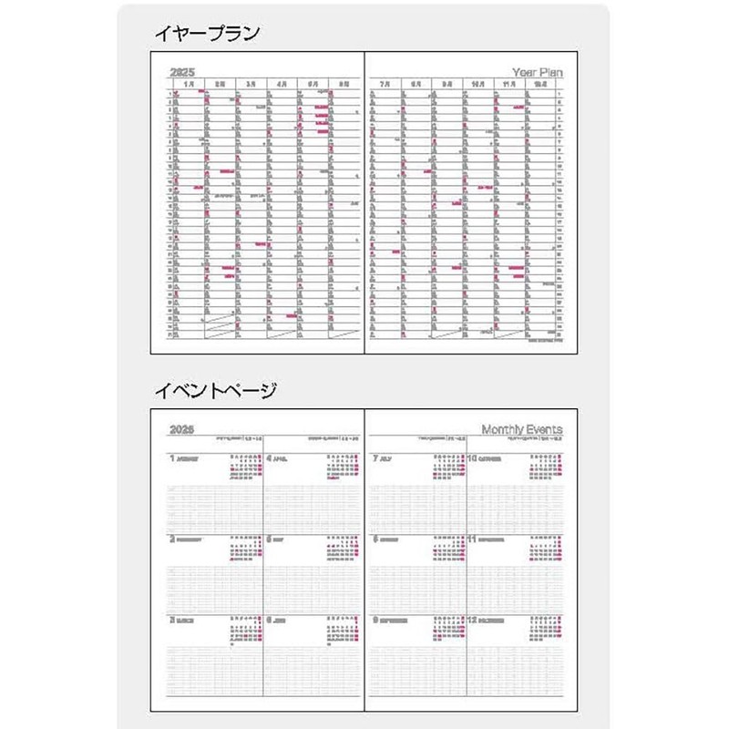 Logical Diary 2025 Index/B6/Gray NSI-B624-25AN