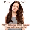 Garnier Unisex Adult Hair Dye