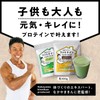 なかやまきんに君プロデュース ファミテイン（カカオ味 300g）ホエイ ソイ プロテイン
